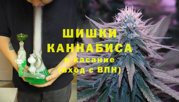 стафф Дмитров