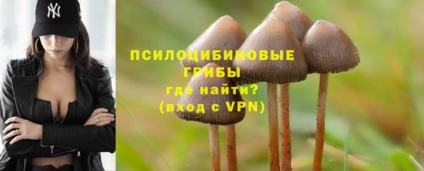 дурь Заводоуковск