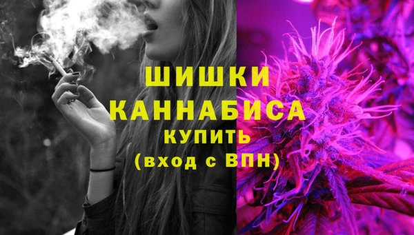 стафф Дмитров