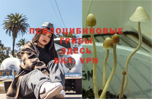 кокаин VHQ Ельня