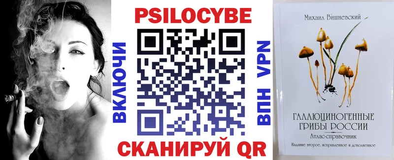 ссылка на мегу как войти Ковылкино Псилоцибиновые грибы ЛСД